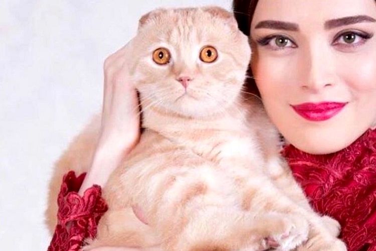 بهنوش طباطبایی عشق ورزیدن را نمایش میدهد/ عکس