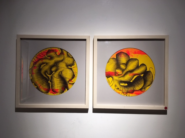  نمایشگاه نقاشی ­‌ها و چاپ ­‌های دستی شیوا پرهام با عنوان «رنج فیلی» در گالری آ 