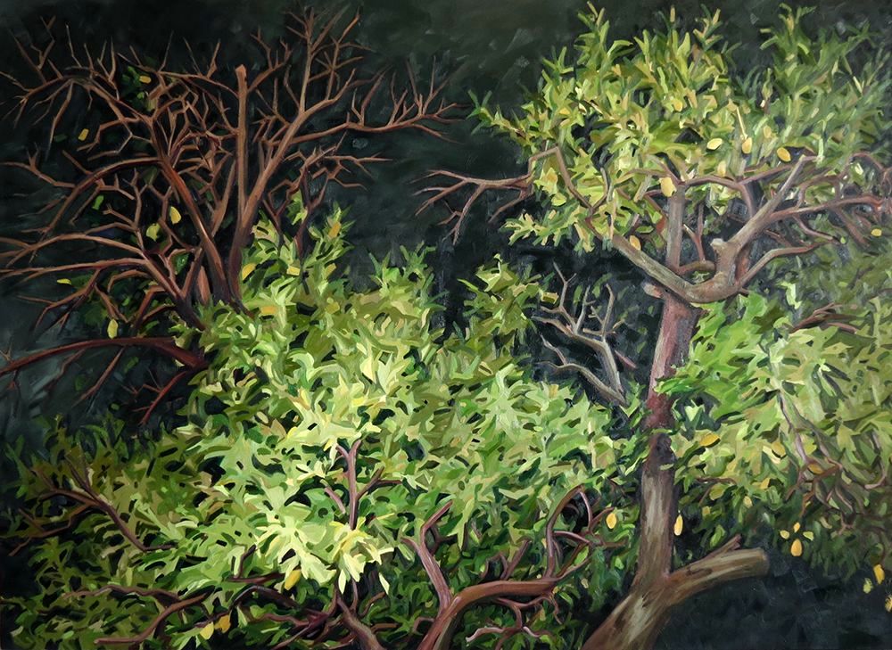 unusually-large-paintings-iran-arts